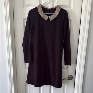 Rachel Zoe Maternity Black Dress with Sequin Collar